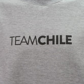 POLERÓN GRIS POLO TEAM CHILE CON ÍCONO DUPU - Tienda Oficial